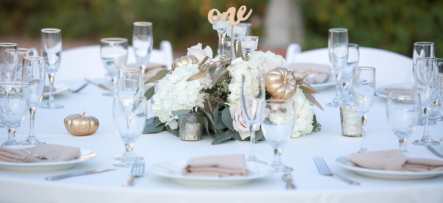 Your Party Solutions